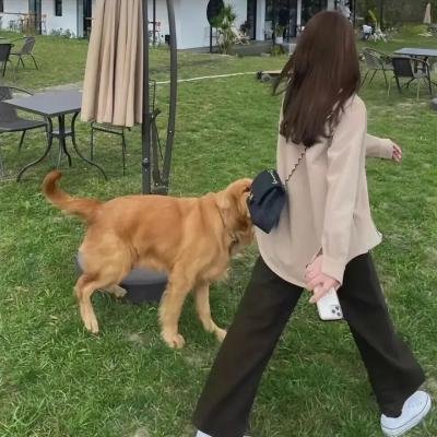 时光之桃